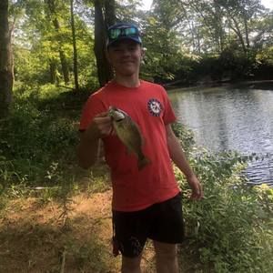 Meet your Posher, Hunter